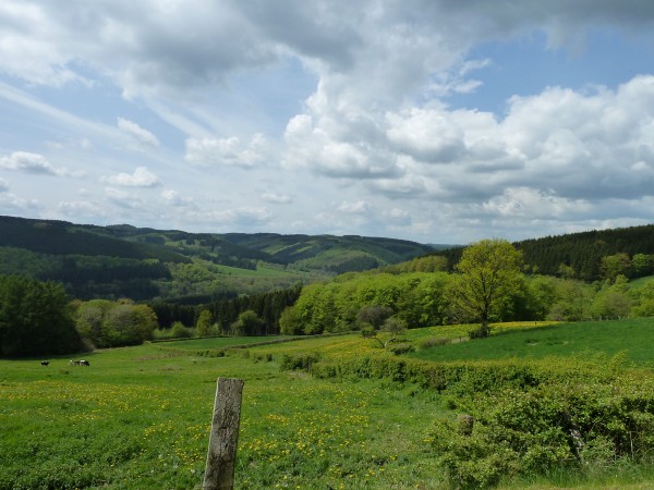vallée de la wiltz vue de grümelscheid